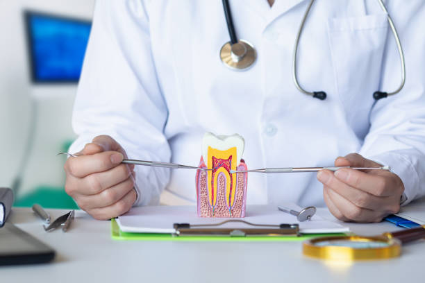 Best Pediatric Emergency Dentist in Winthrop, MN